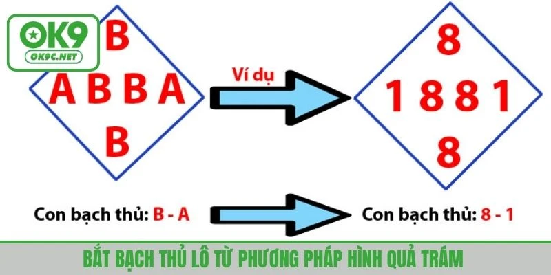 Bắt bạch thủ lô từ phương pháp hình quả trám 