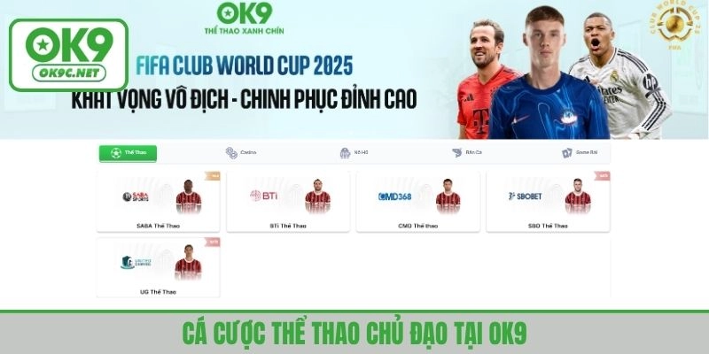 Cá cược thể thao với số lượng tựa game, giải đấu lớn