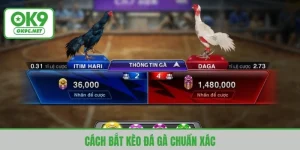 cách bắt kèo đá gà