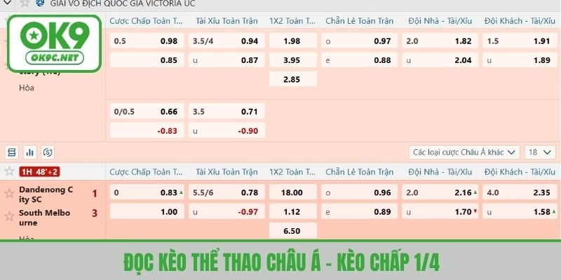 Cách đọc kèo thể thao châu Á tỷ lệ dư 1/4