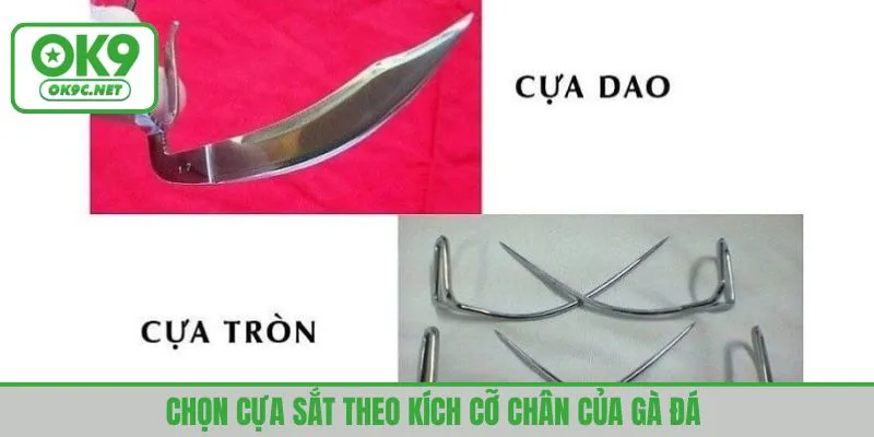 Chọn cựa sắt theo kích cỡ chân của gà đá 
