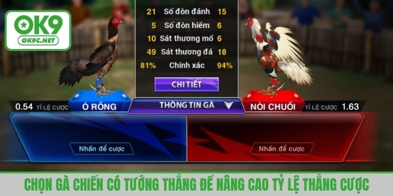 Chọn gà chiến có tướng thắng để nâng cao tỷ lệ thắng cược
