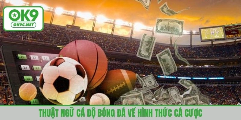 Thuật ngữ cá độ bóng đá về hình thức cá cược