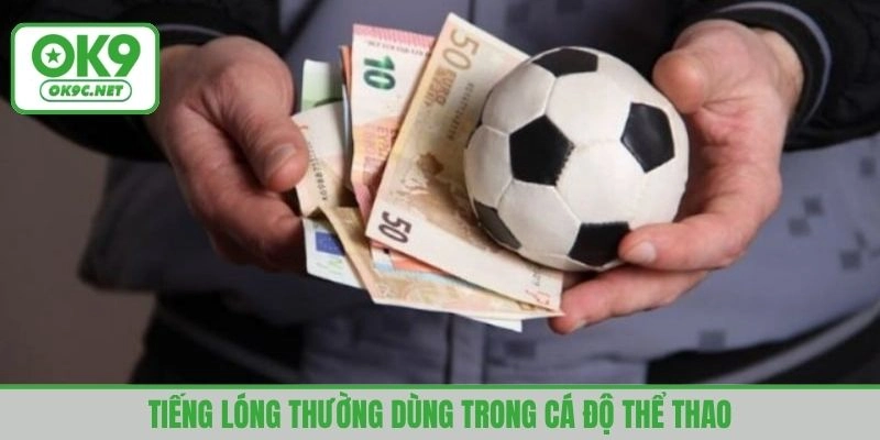 Tiếng lóng thường dùng trong cá độ thể thao
