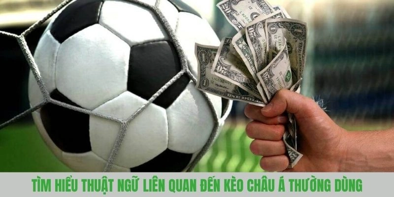 Tìm hiểu thuật ngữ liên quan đến kèo châu Á thường dùng