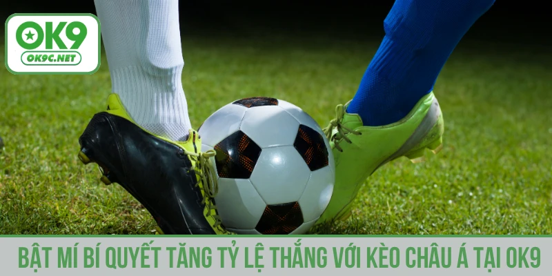 Bật mí bí quyết tăng tỷ lệ thắng với kèo Châu Á tại OK9Bật mí bí quyết tăng tỷ lệ thắng với kèo Châu Á tại OK9
