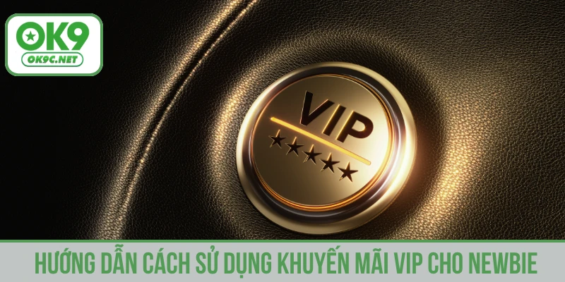 Hướng dẫn cách sử dụng khuyến mãi VIP cho newbie