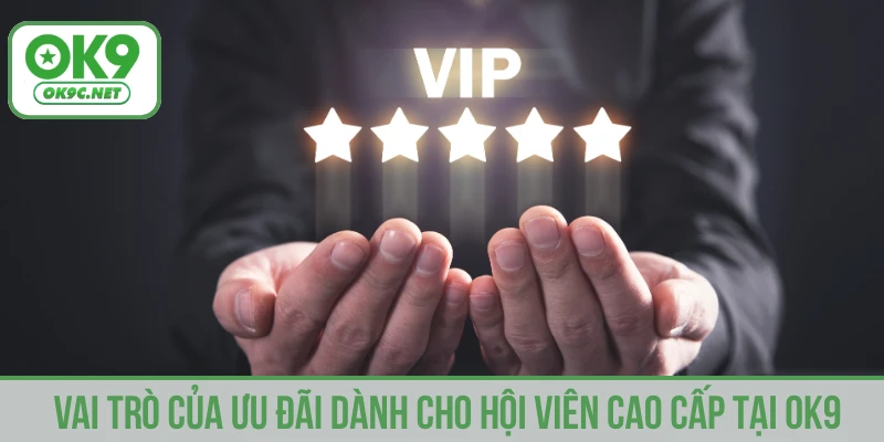 Vai trò của ưu đãi dành cho hội viên cao cấp tại OK9